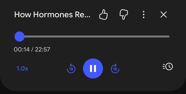 The episode playing: 22:57 from 1 PDF.